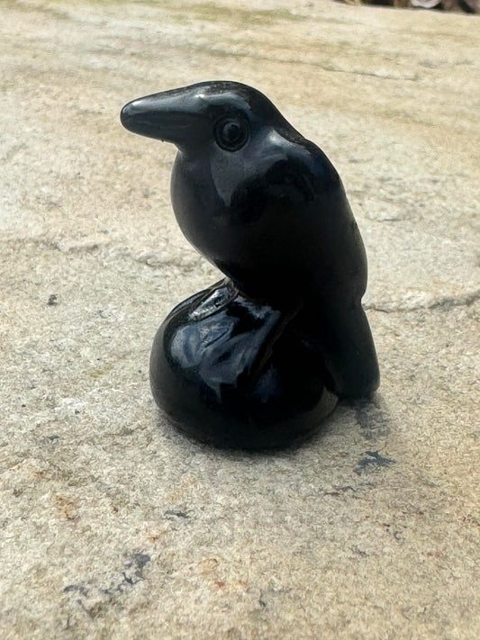 Obsidian Raven - Protection