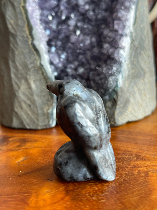 Labradorite Raven - Intuition