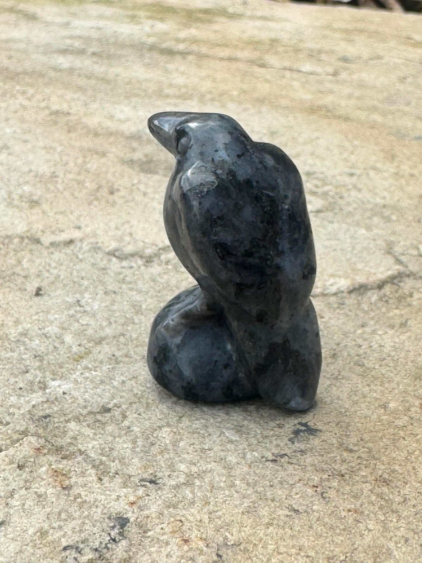 Labradorite Raven - Intuition